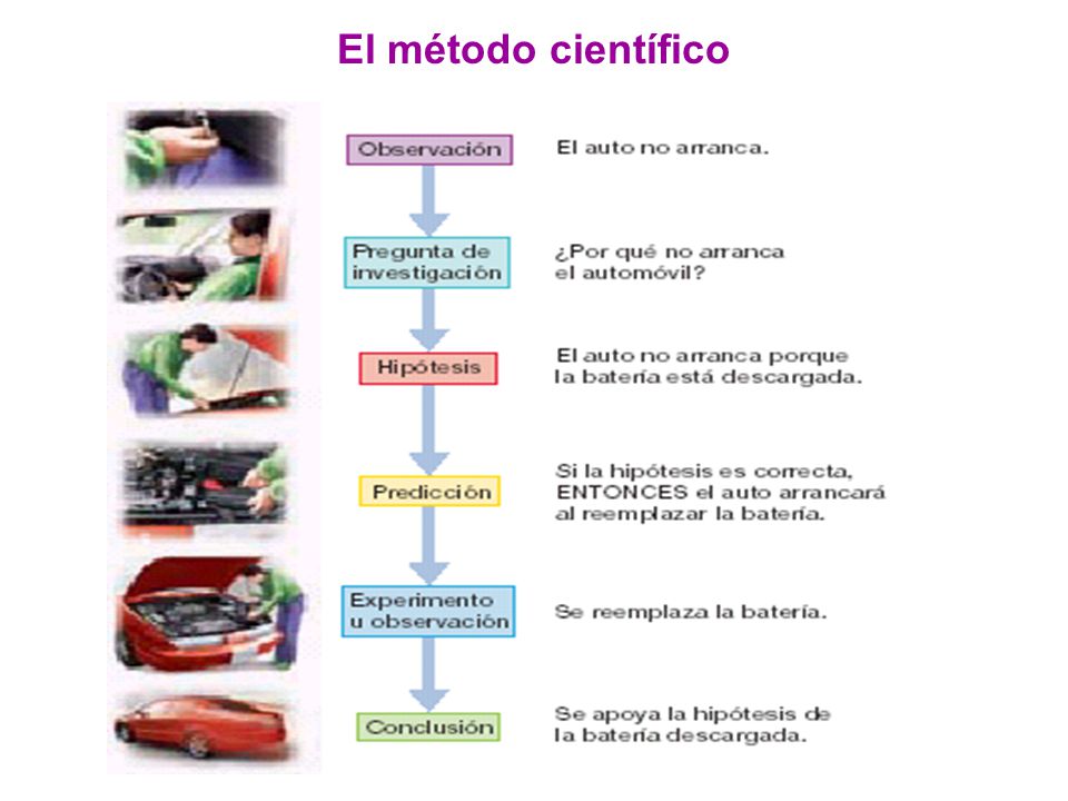 ejemplos metodo cientifico vida cotidiana ejemplos metodo cientifico vida cotidiana